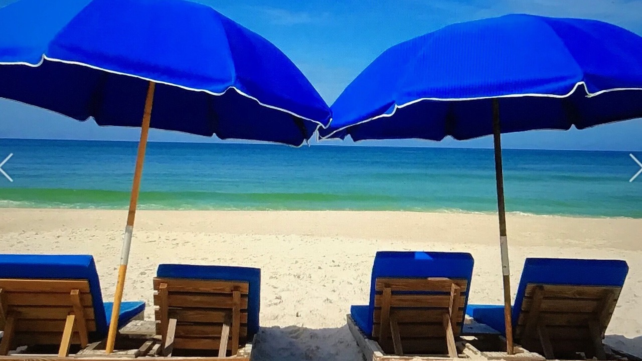 Photo of Others in West Panama City Beach