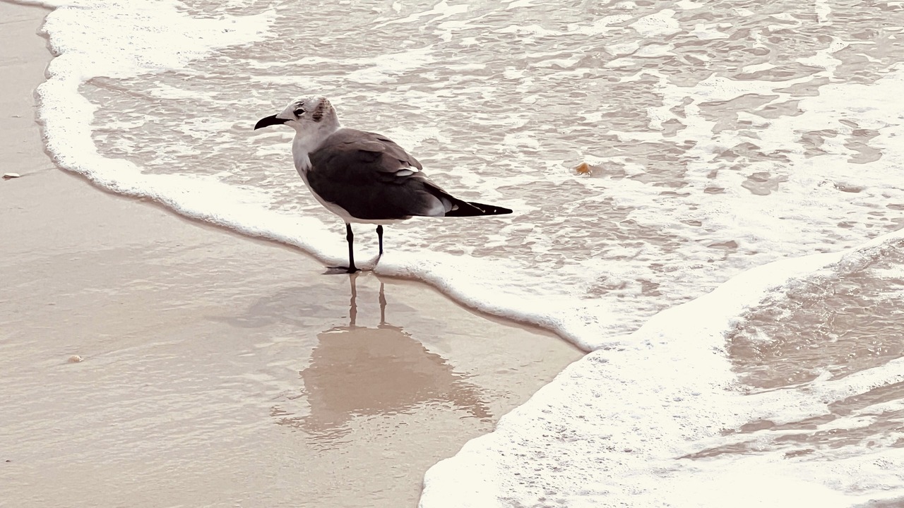 Photo of Others in Lower Grand Lagoon