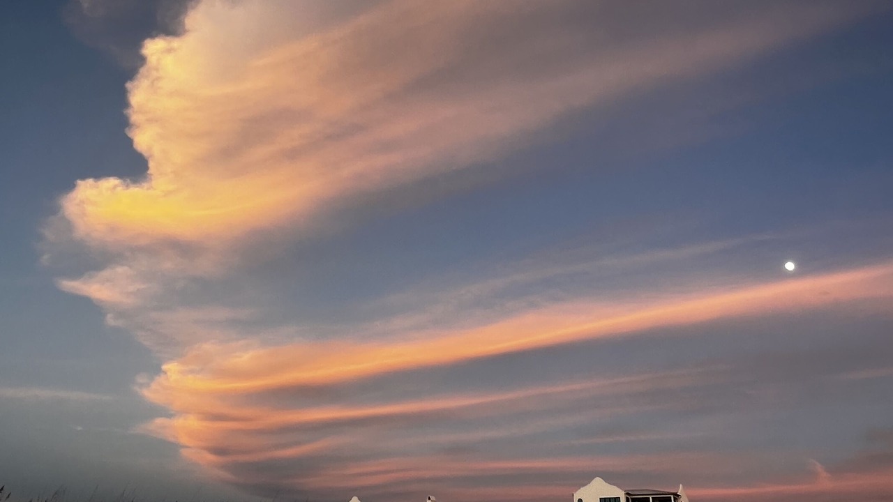 Photo of Outdoor in West Panama City Beach