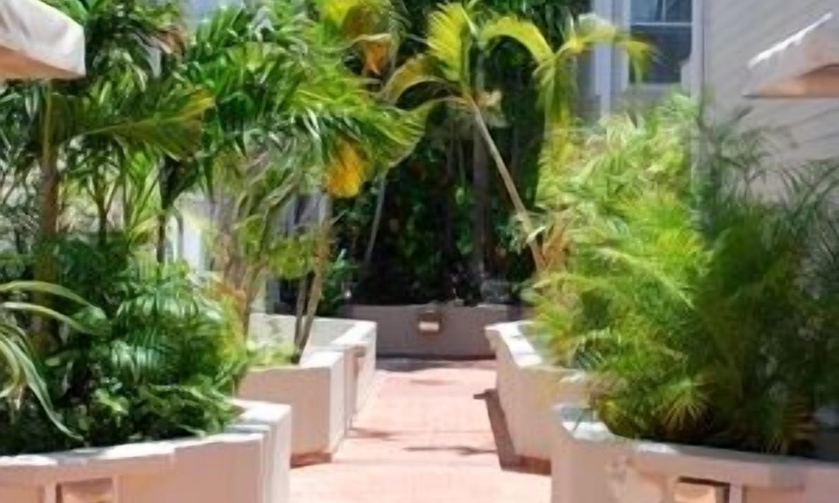 Photo of Outdoor in Old Town