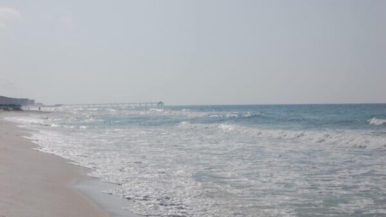 Photo of Others in Fort Walton Beach