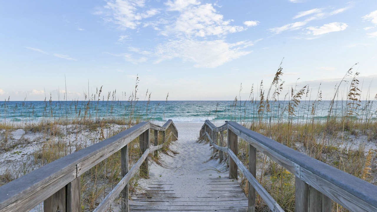 Photo of Others in White Sands