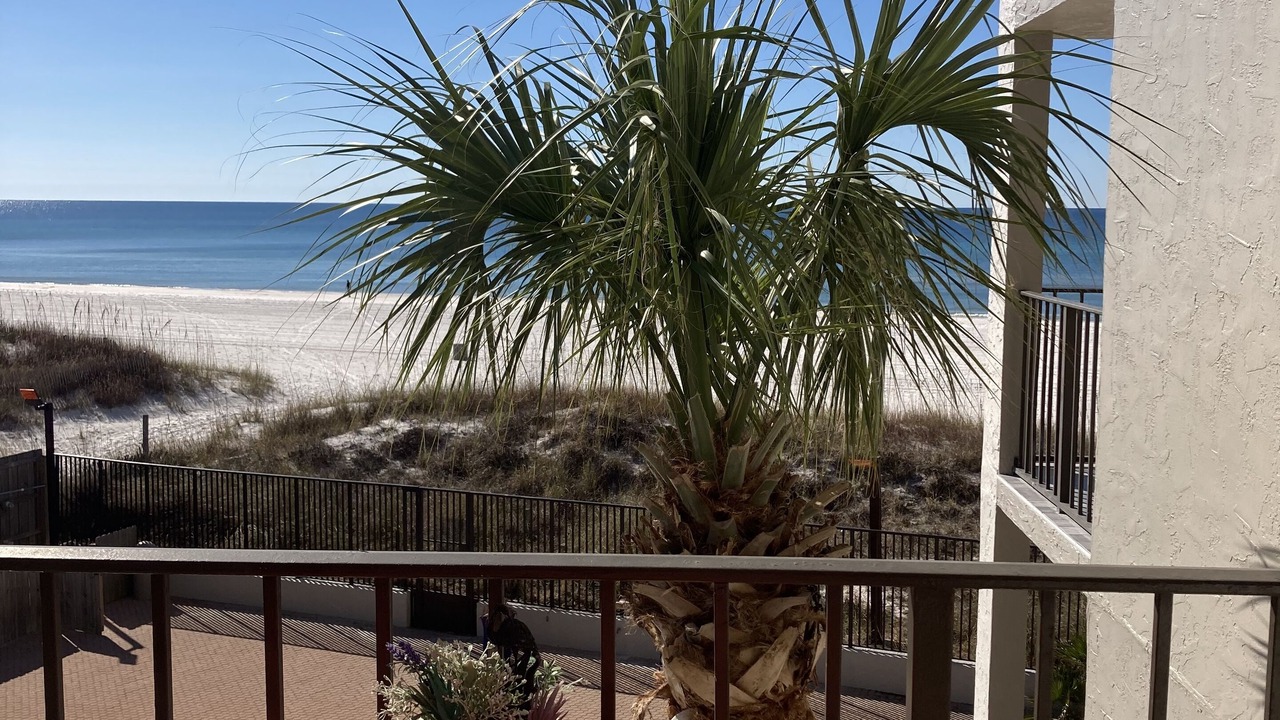 Photo of Outdoor in Panama City Beach