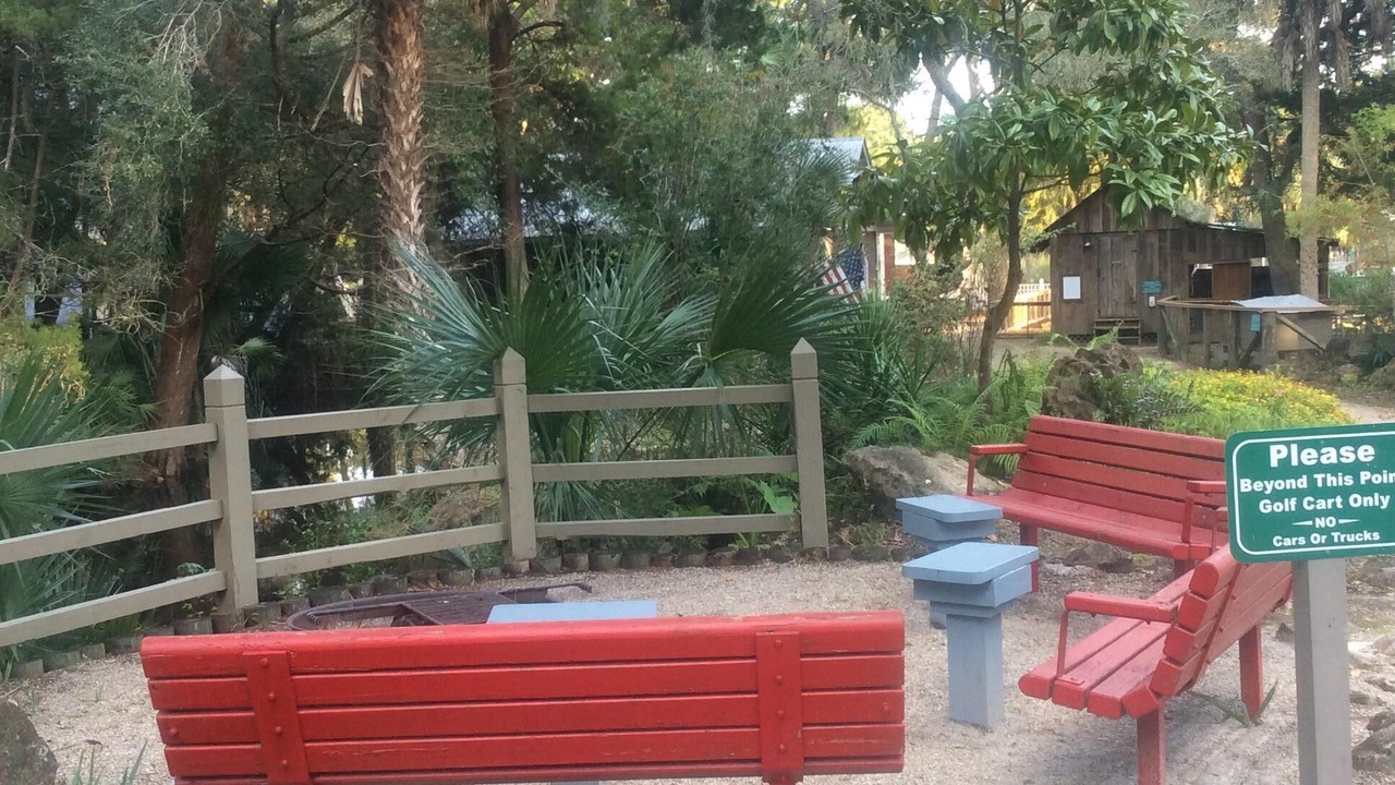 Photo of Outdoor in Steinhatchee