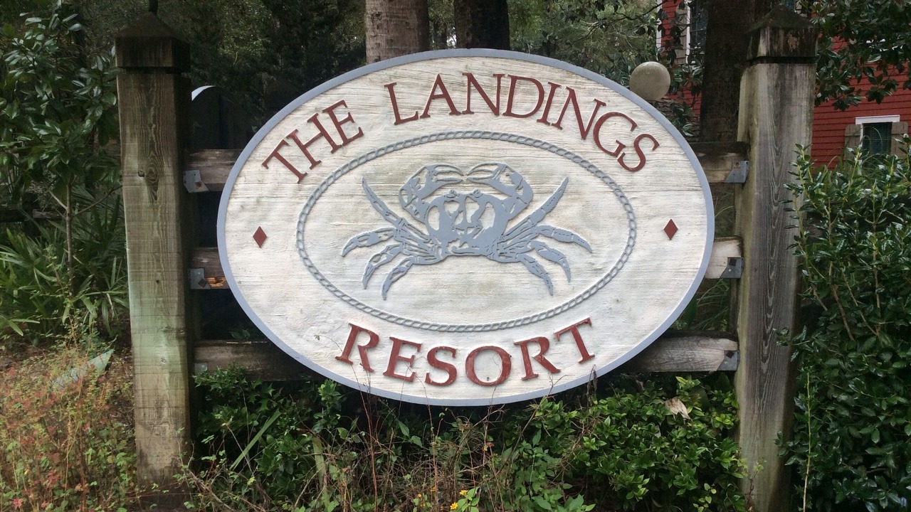 Photo of Outdoor in Steinhatchee