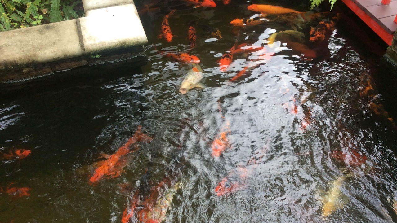 Photo of Others in Steinhatchee