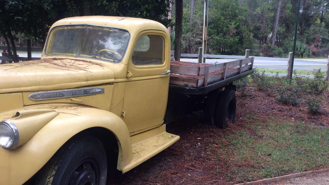 Photo of Outdoor in Steinhatchee