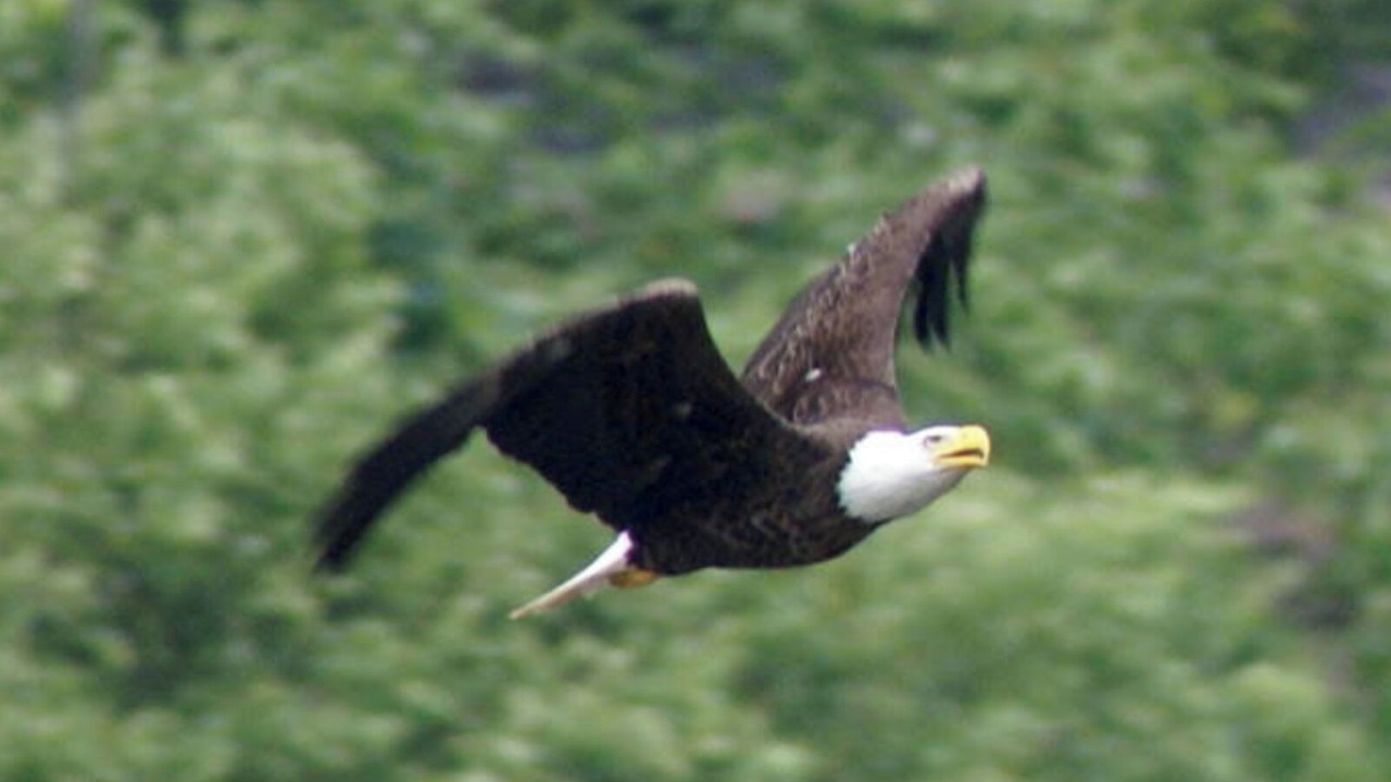 Photo of Others in Holly Lake Ranch