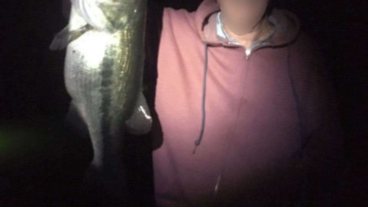 Photo of Others in Holly Lake Ranch