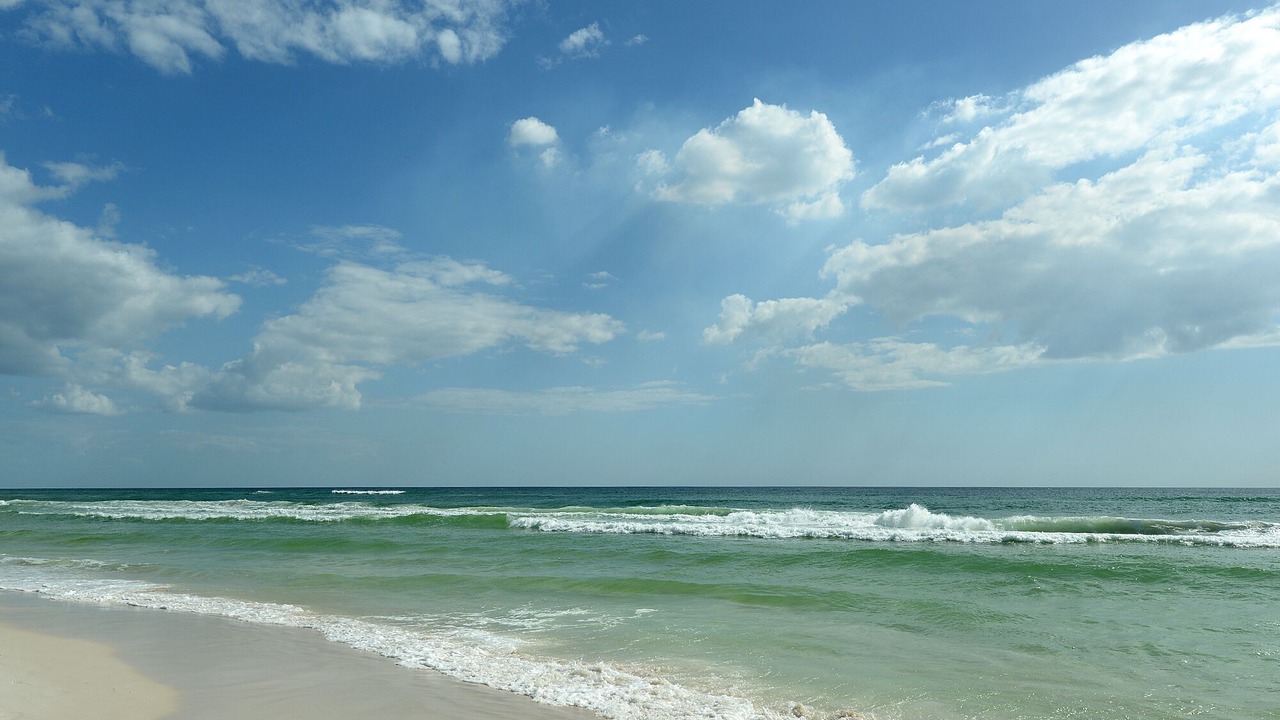Photo of Others in West Panama City Beach