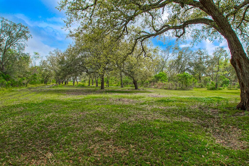 Photo of Outdoor in Lafitte