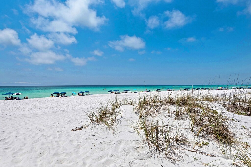 Photo of Outdoor in Miramar Beach