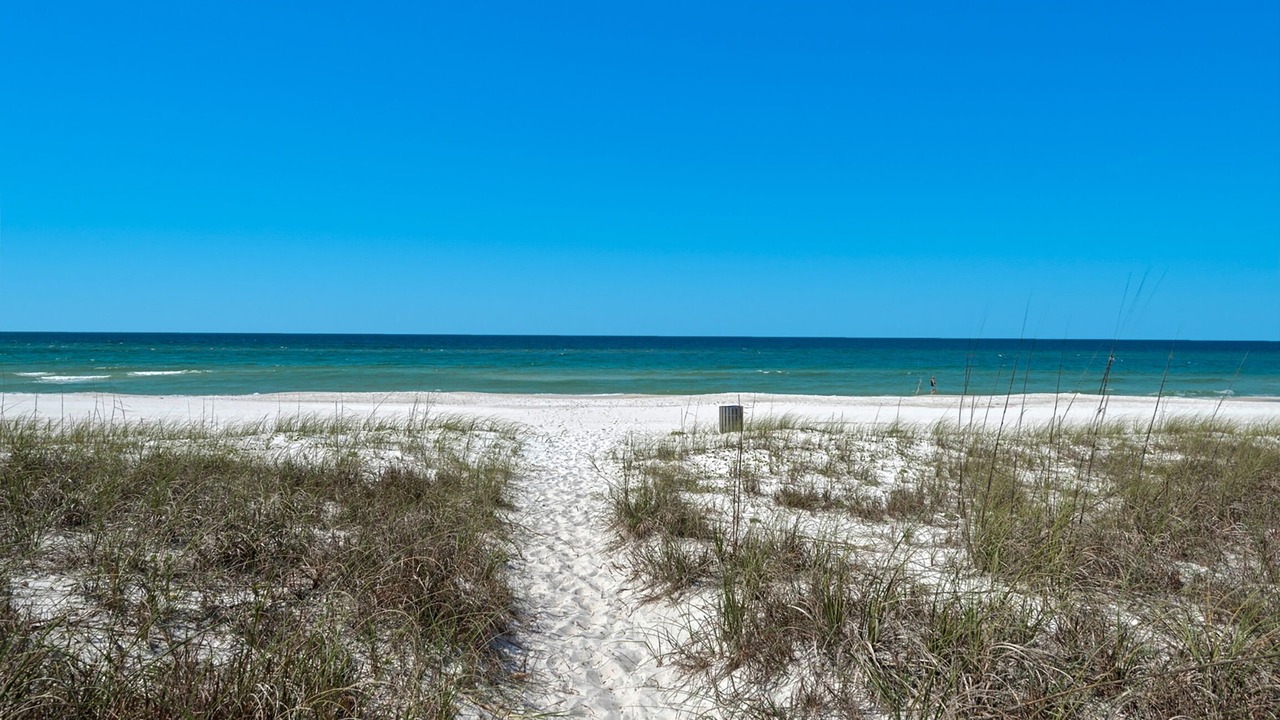Photo of Others in Sunnyside On The Gulf