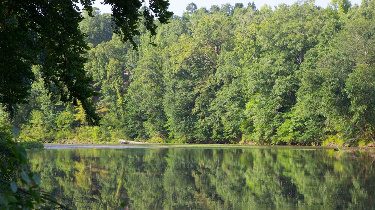 Photo of Others in Smithville