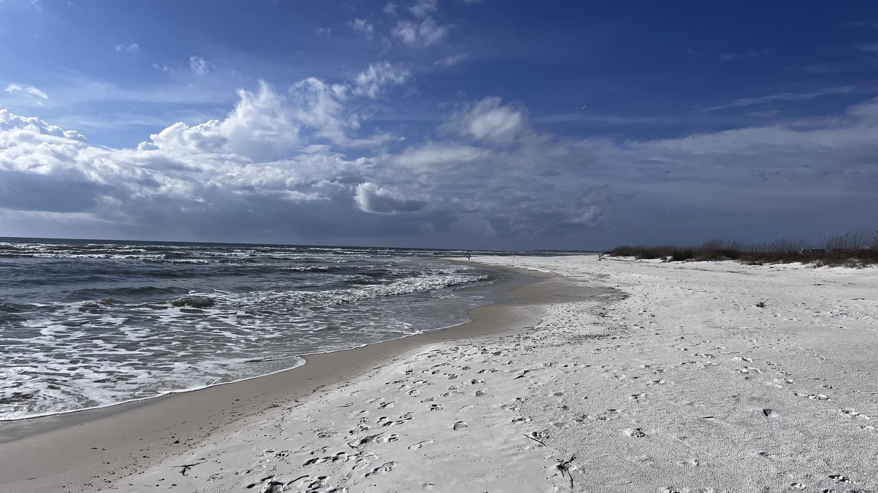 Photo of Others in Mexico Beach