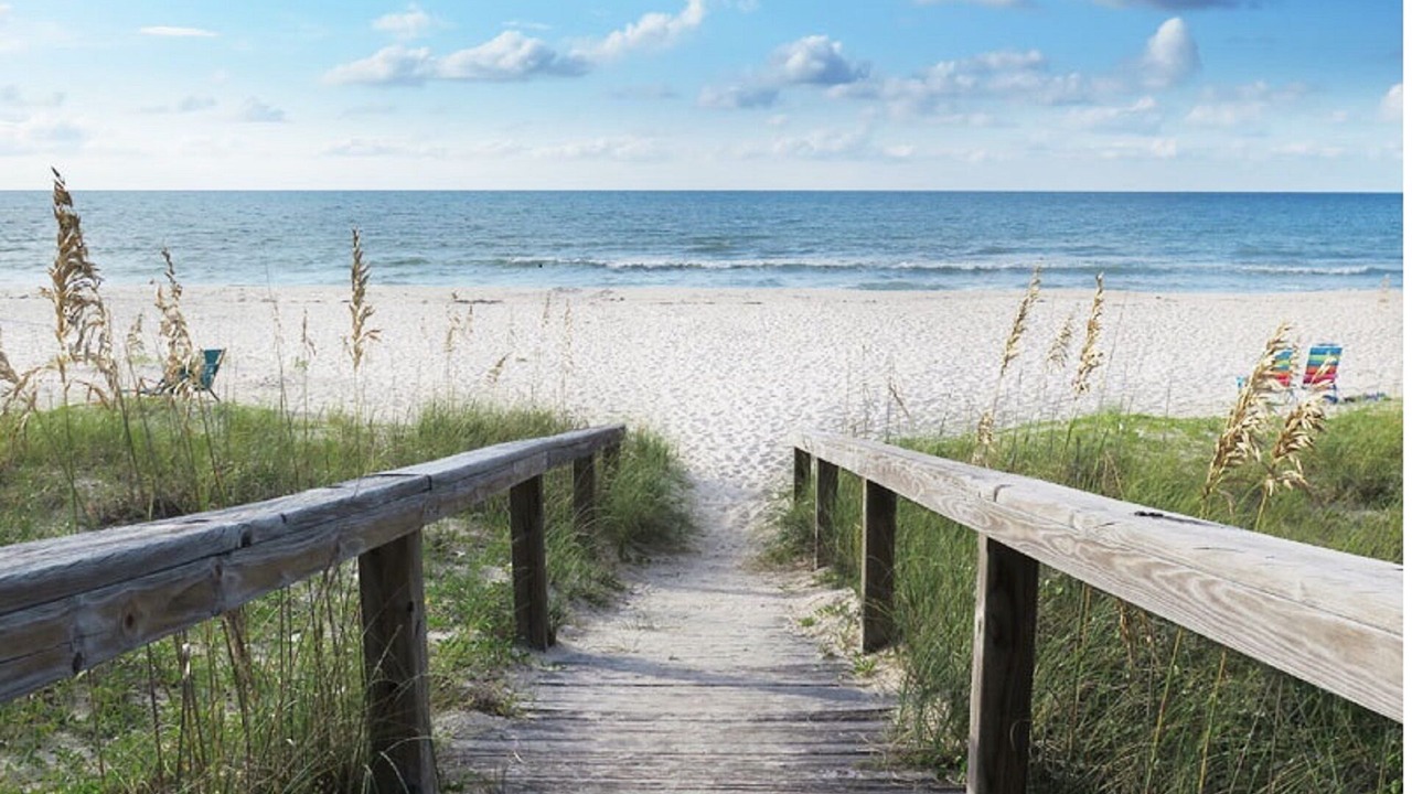 Photo of Others in St. George Island