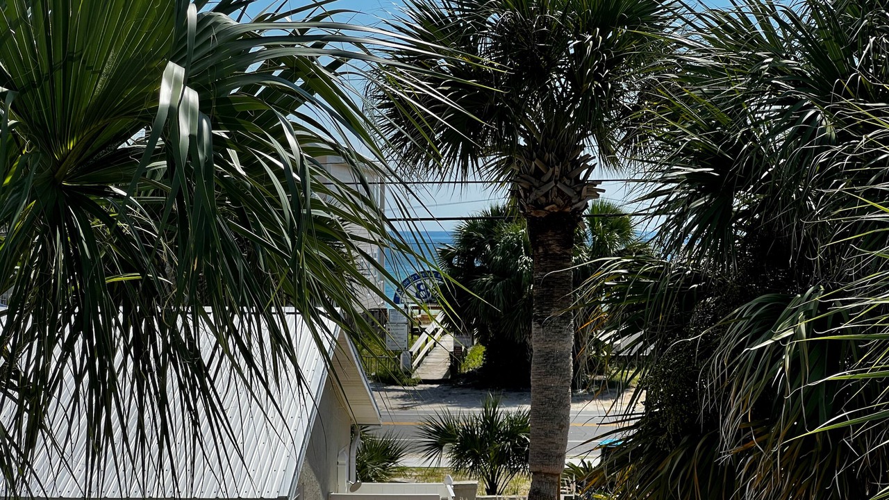 Photo of Outdoor in Laguna Beach Estates
