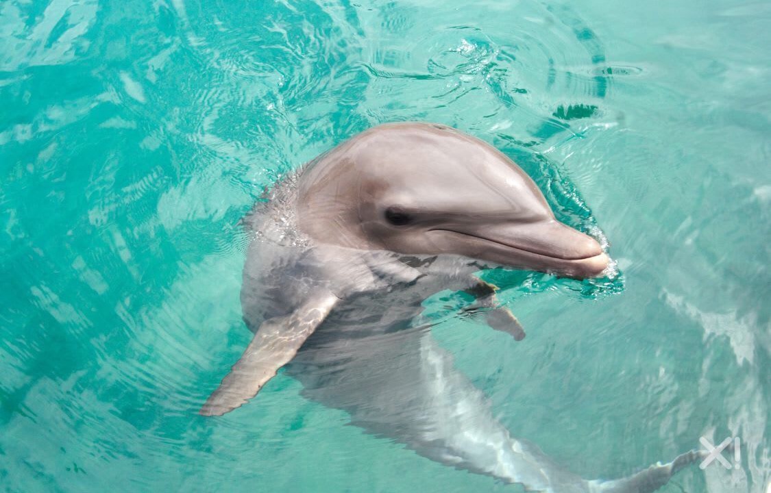 Photo of Others in Miramar Beach