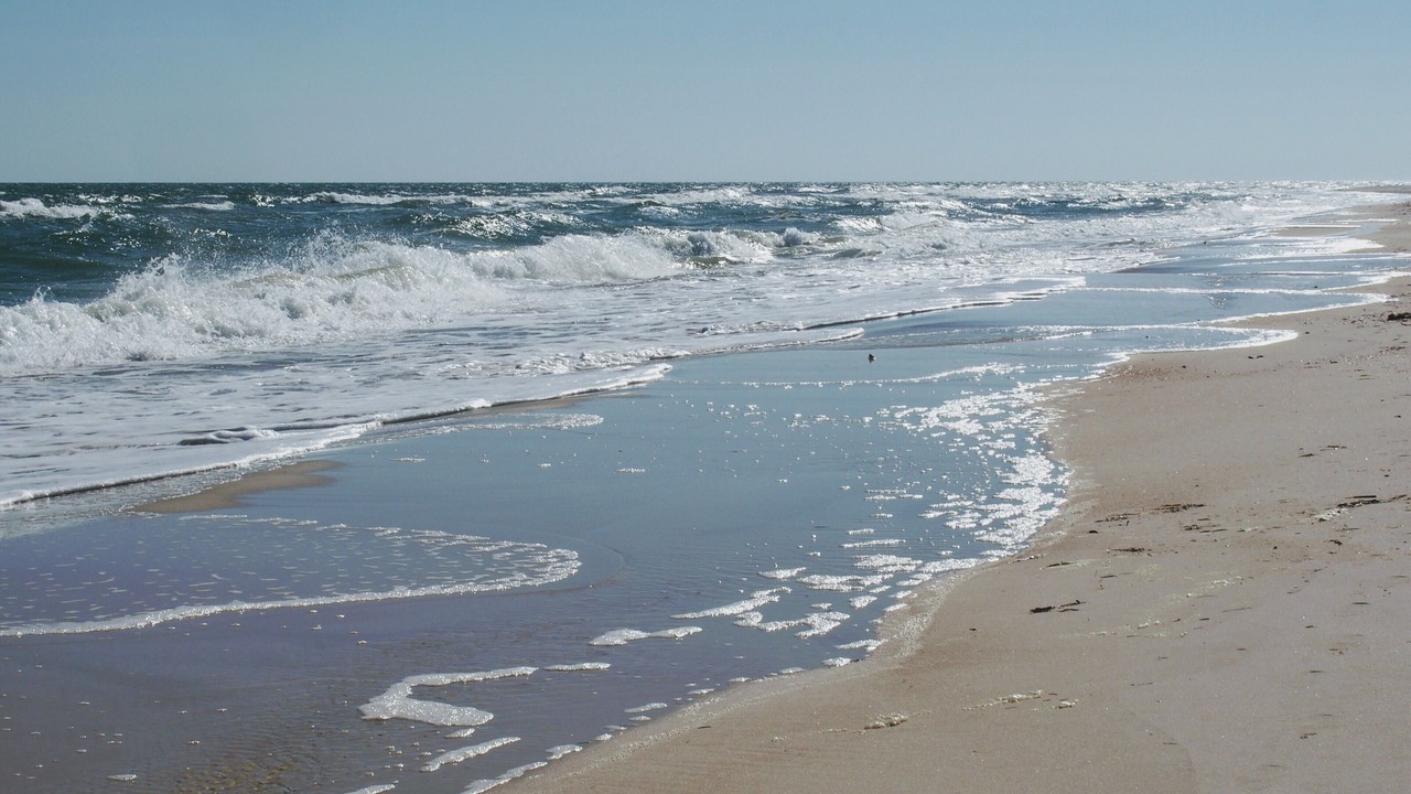 Photo of Others in St. George Island