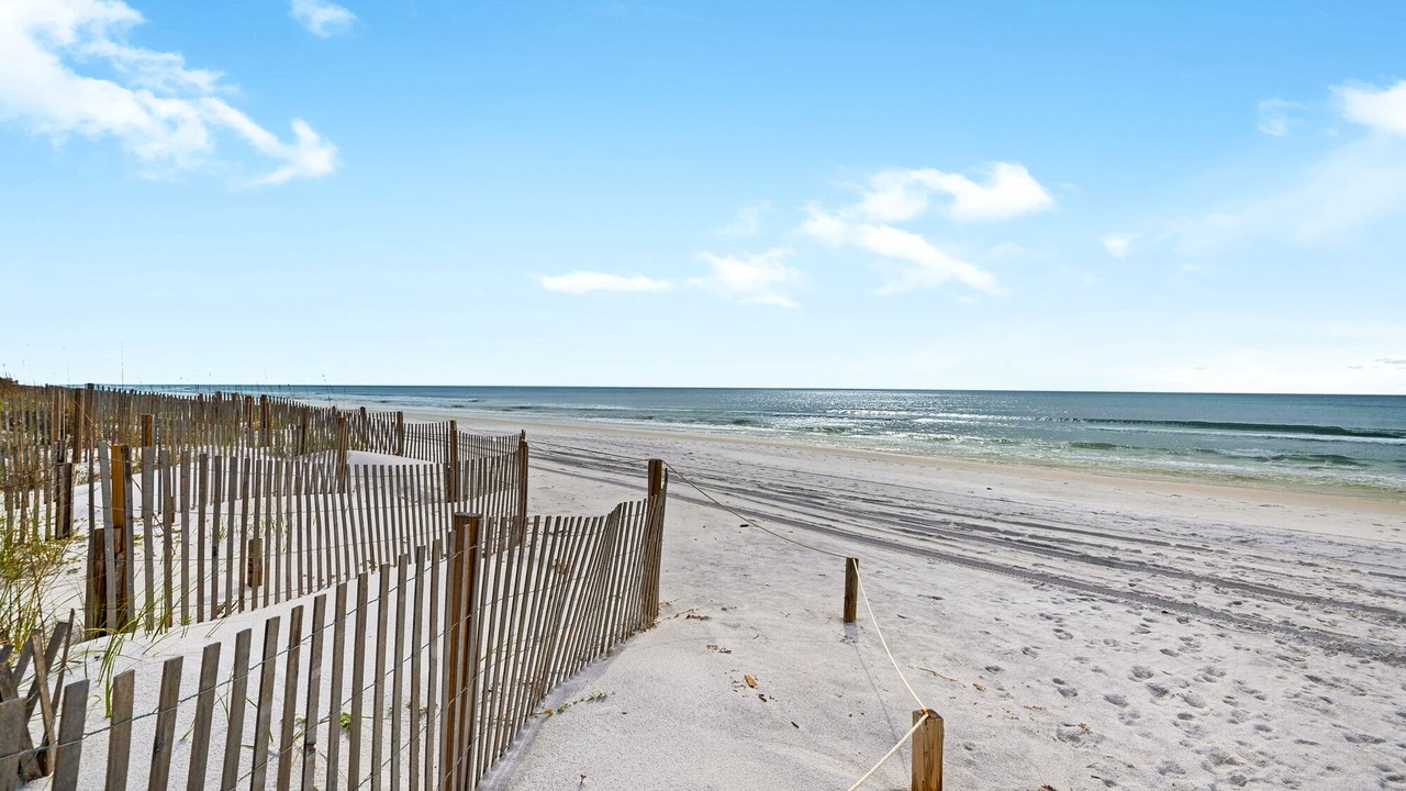 Photo of Others in Dune Allen Beach