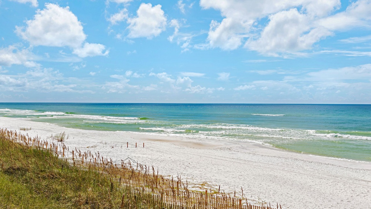 Photo of Others in Dune Allen Beach
