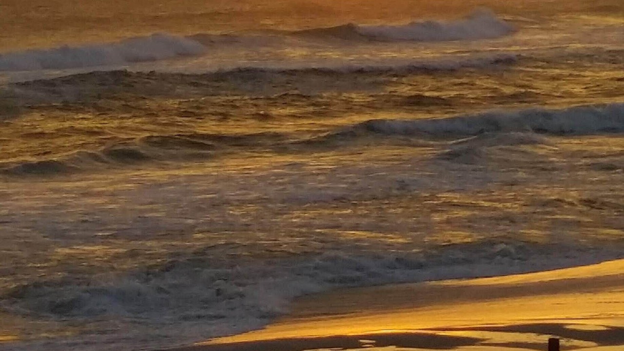 Photo of Others in Kiska Beach