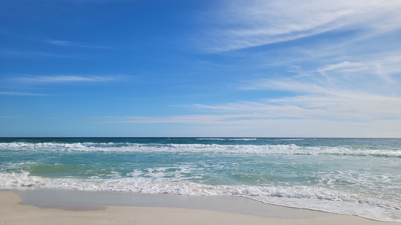 Photo of Others in Kiska Beach