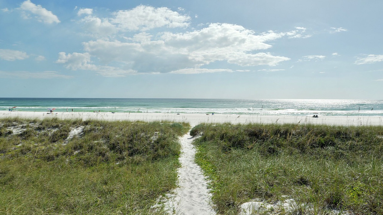 Photo of Others in West Panama City Beach