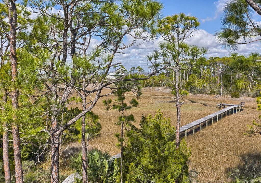 Photo of Outdoor in Plantation