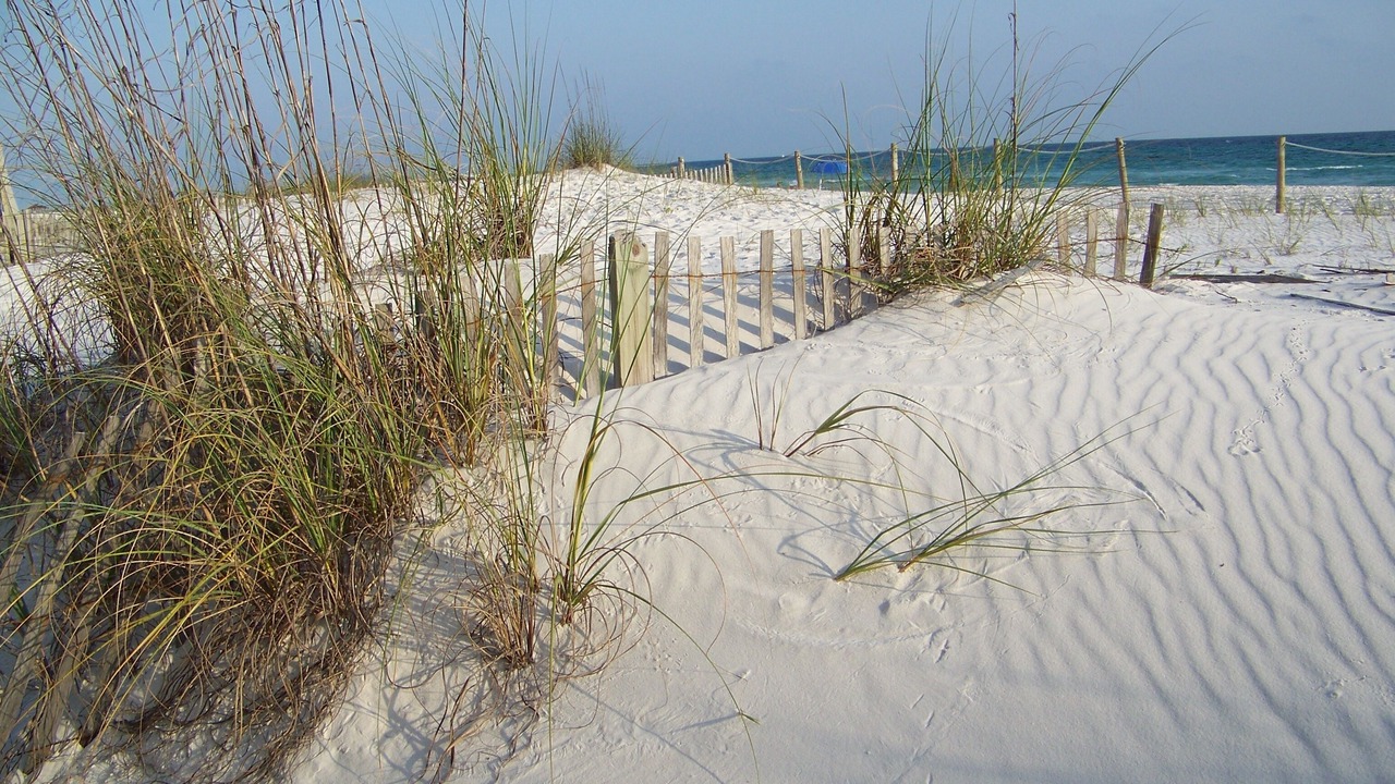 Photo of Others in Holiday Beach