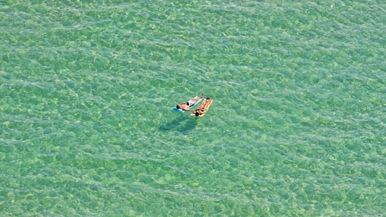 Photo of Others in Thomas Drive