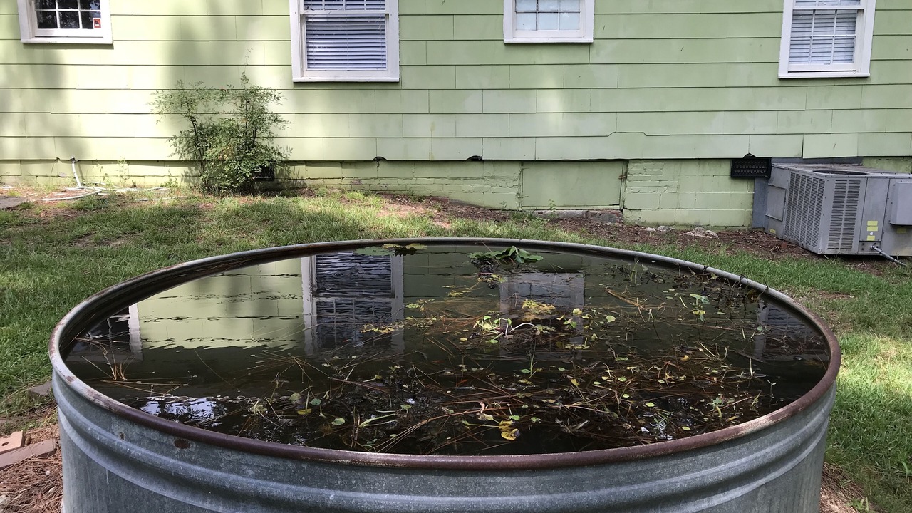 Photo of Outdoor in Fondren