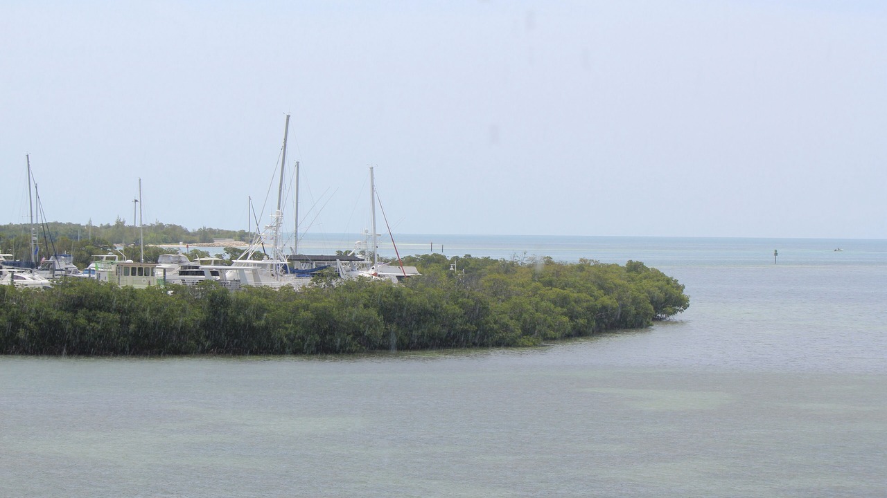 Photo of Outdoor in Key West