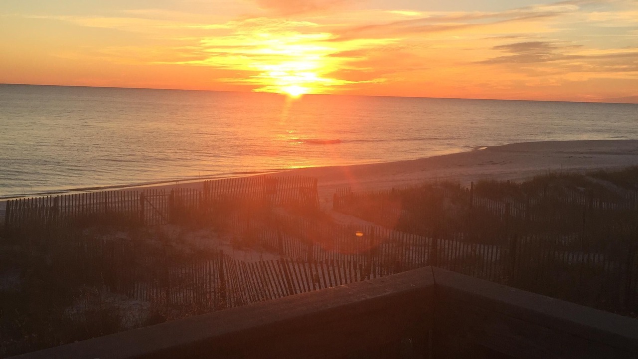Photo of Others in Panama City Beach