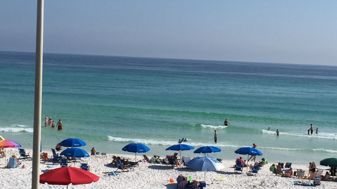Photo of Others in Gulf Place