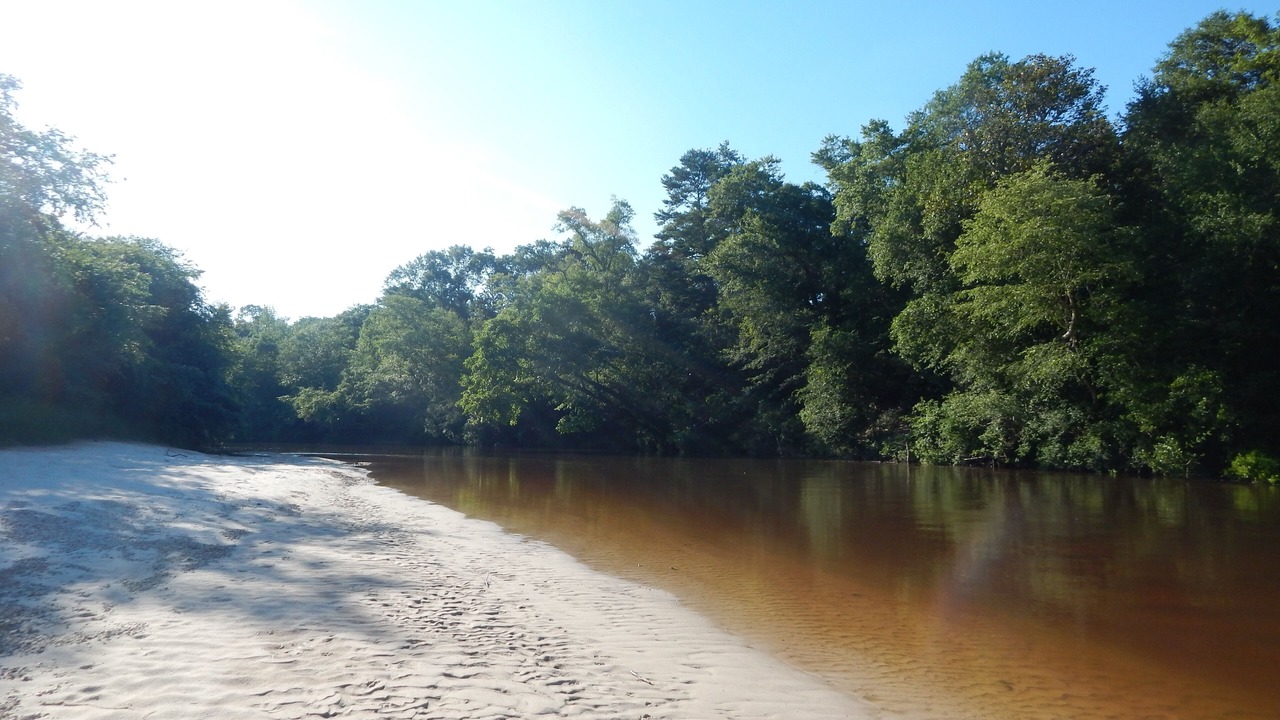 Photo of Others in Perkinston