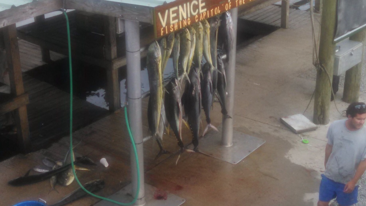 Photo of Others in Venice