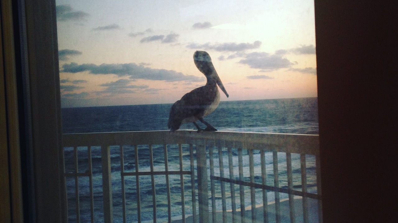 Photo of Others in Miramar Beach