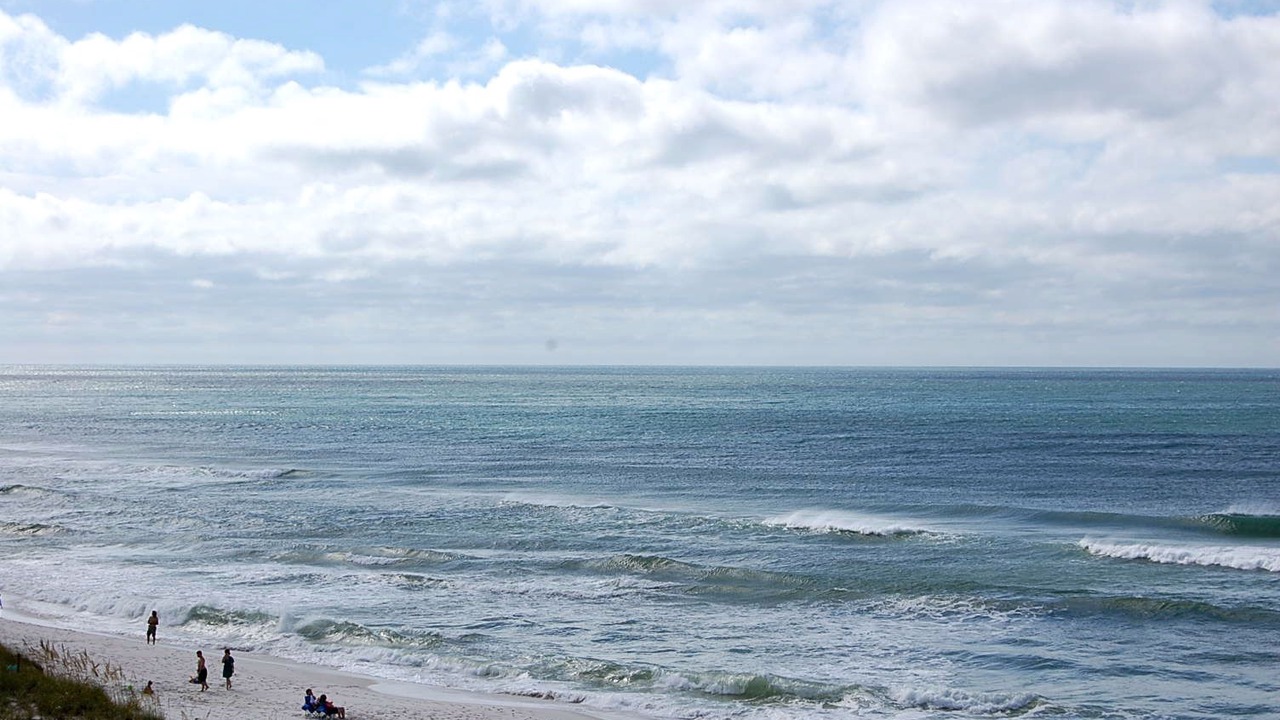 Photo of Others in Navarre Beach