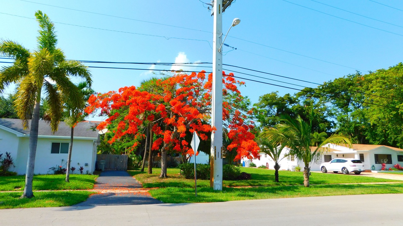 Photo of Others in Pompano Beach