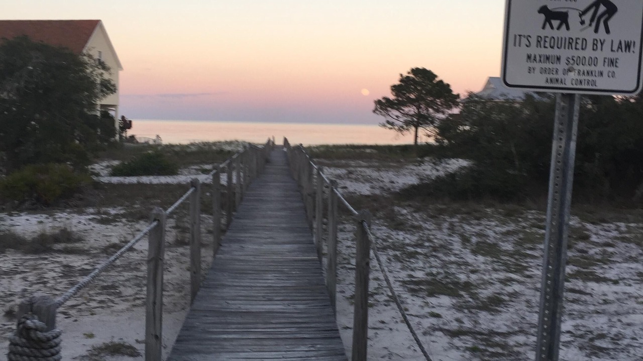 Photo of Others in Alligator Point