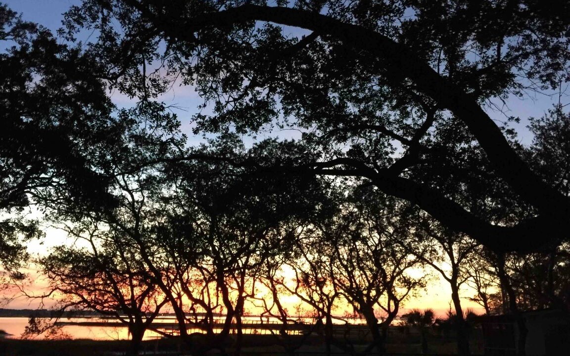 Photo of Others in Alligator Point