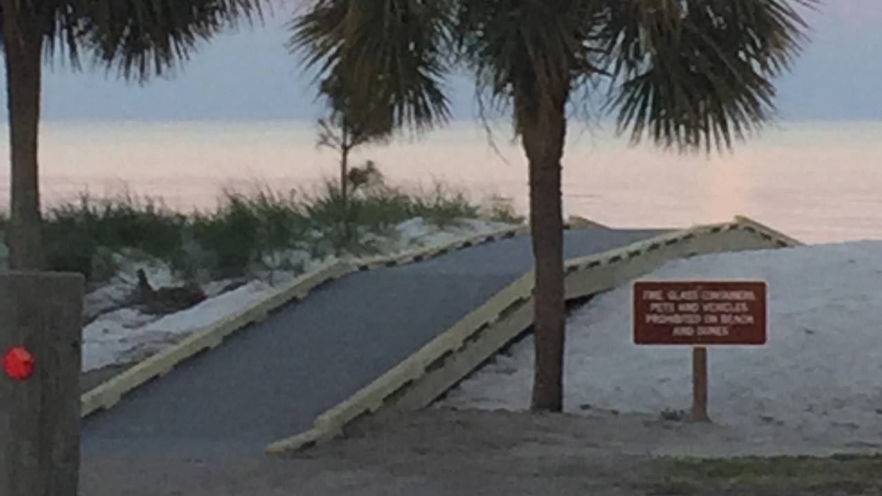 Photo of Others in Alligator Point