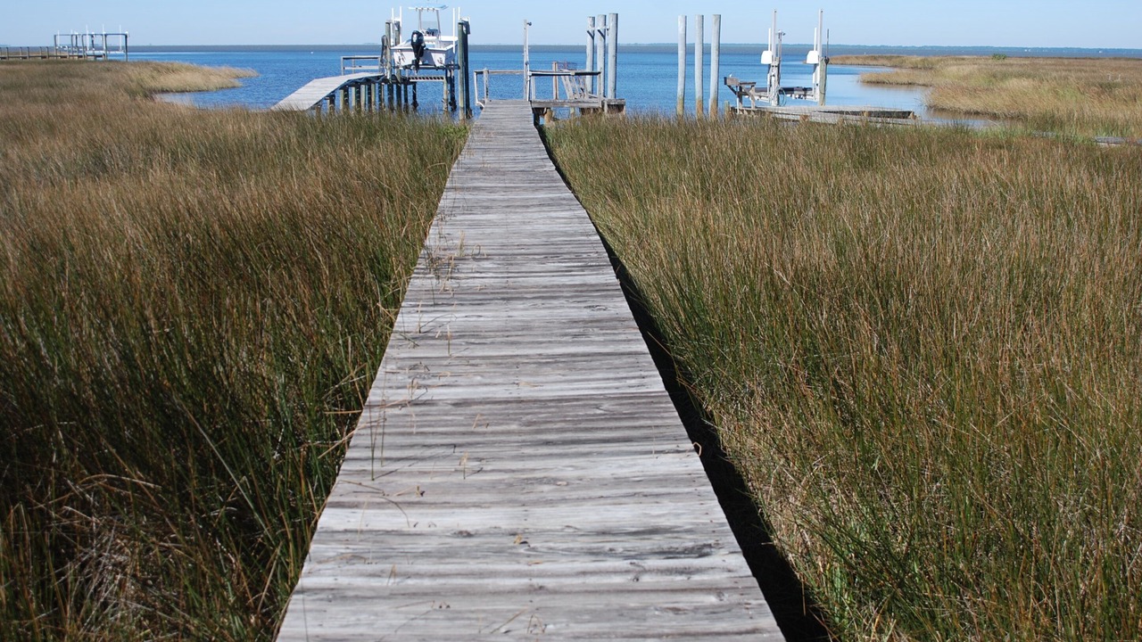 Photo of Outdoor in Plantation