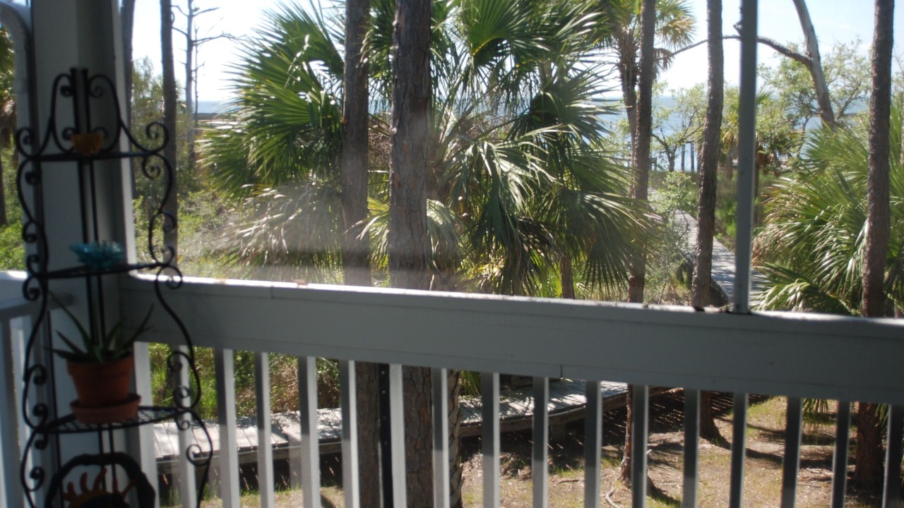 Photo of Others in Plantation