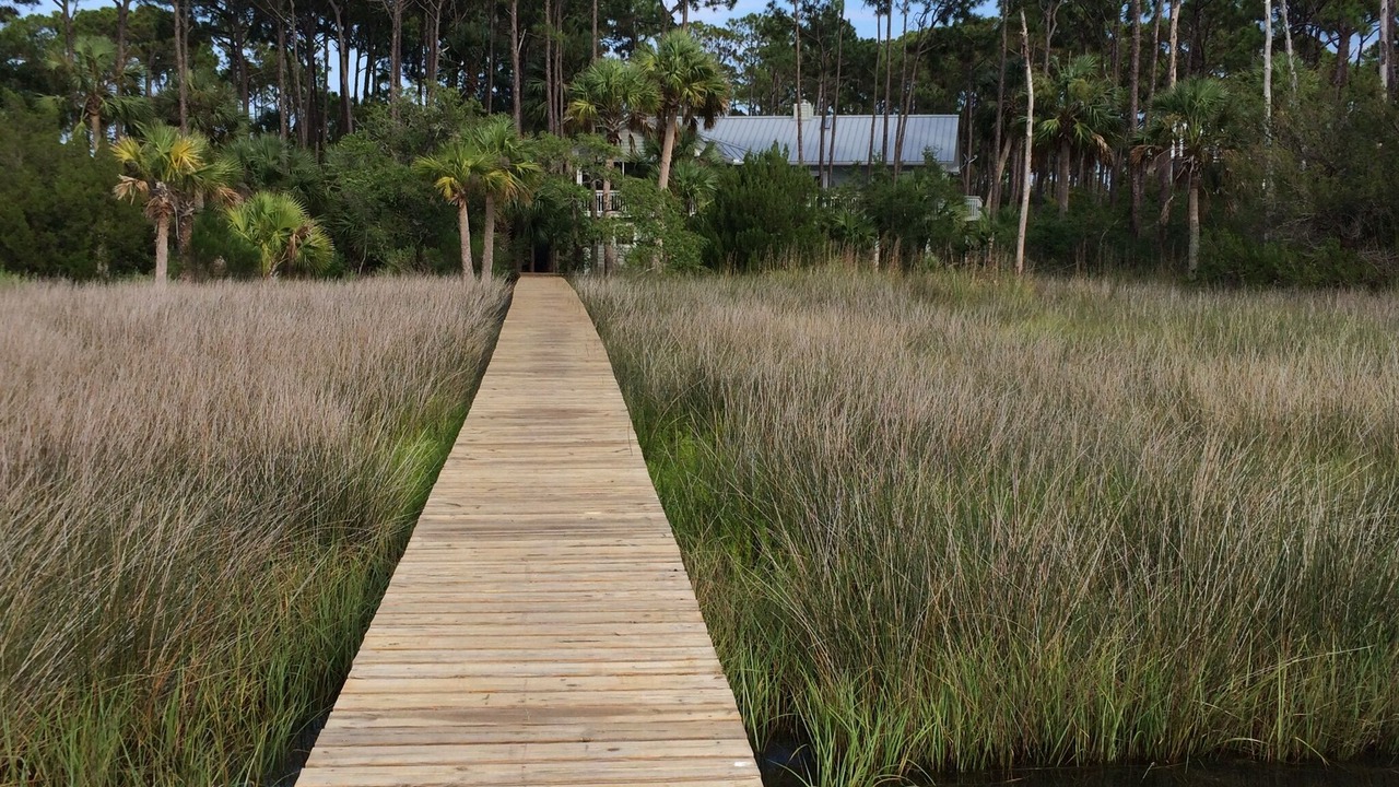 Photo of Outdoor in Plantation
