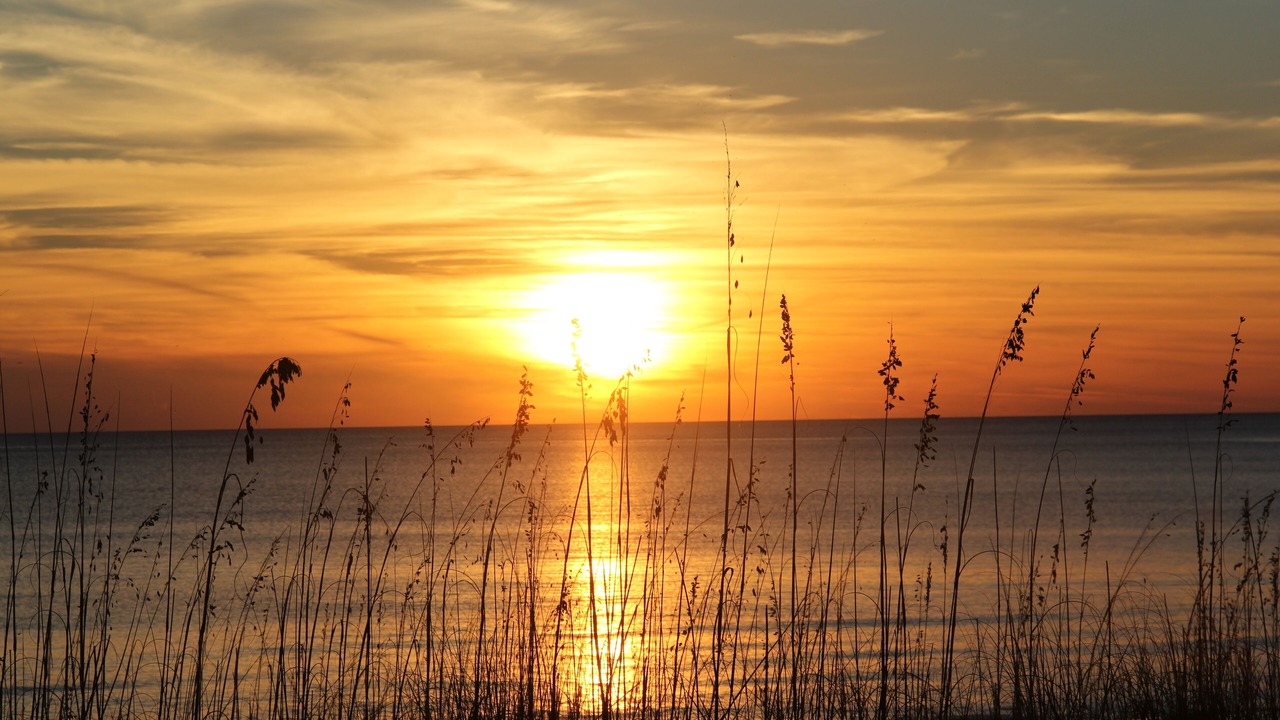 Photo of Others in Lullwater Beach On Gulf Of Mexico