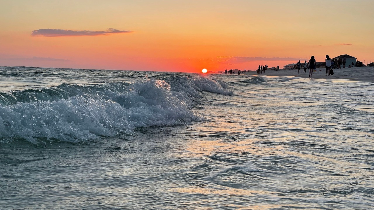 Photo of Others in West Panama City Beach