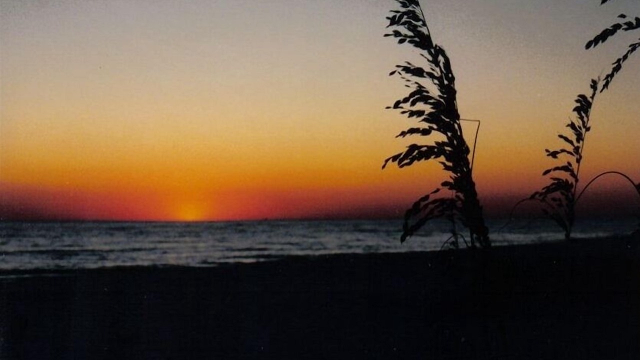 Photo of Others in Panama City Beach