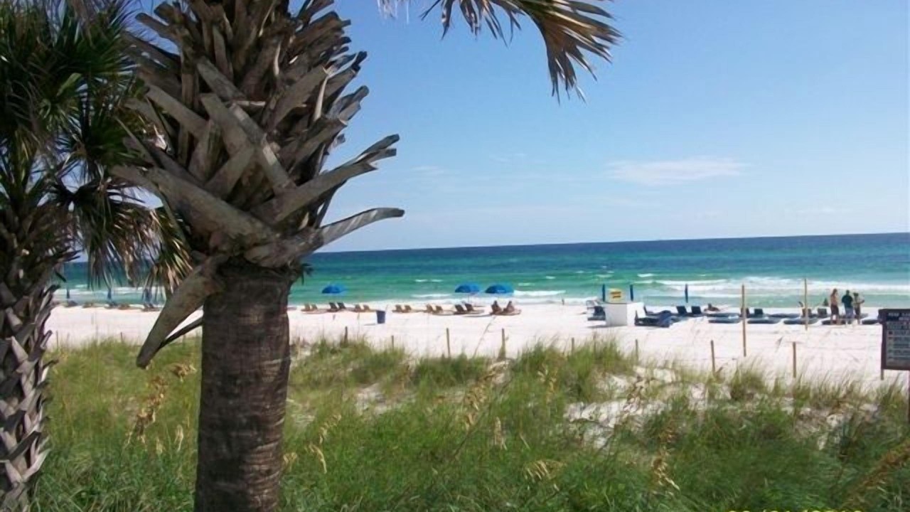 Photo of Outdoor in Panama City Beach